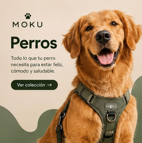 Perros