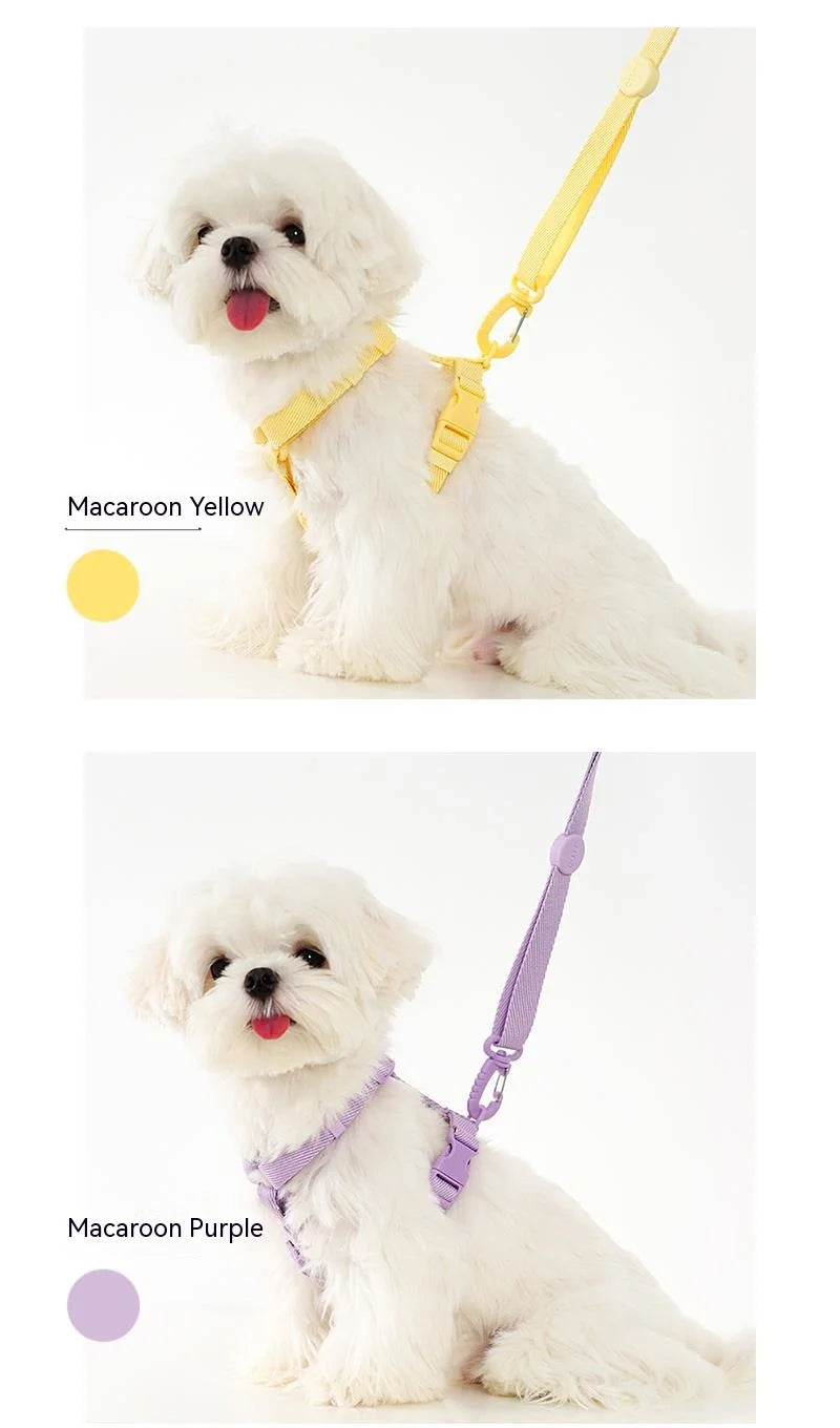 🐶 Moku WalkFit – Arnés Antitirones con Correa para Perros | Paseos Más Seguros y Cómodos 🐶🦮