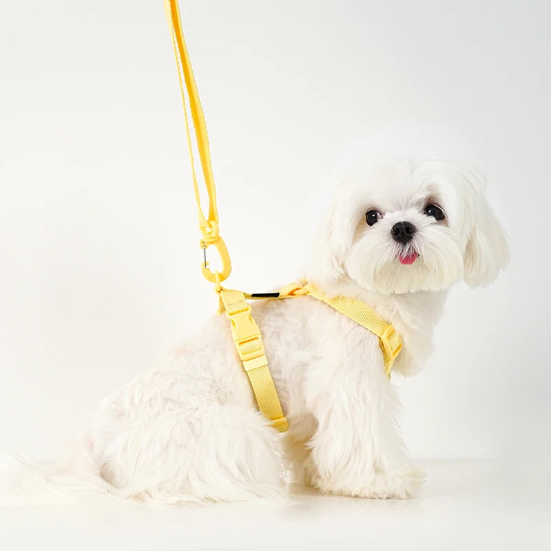 🐶 Moku WalkFit – Arnés Antitirones con Correa para Perros | Paseos Más Seguros y Cómodos 🐶🦮