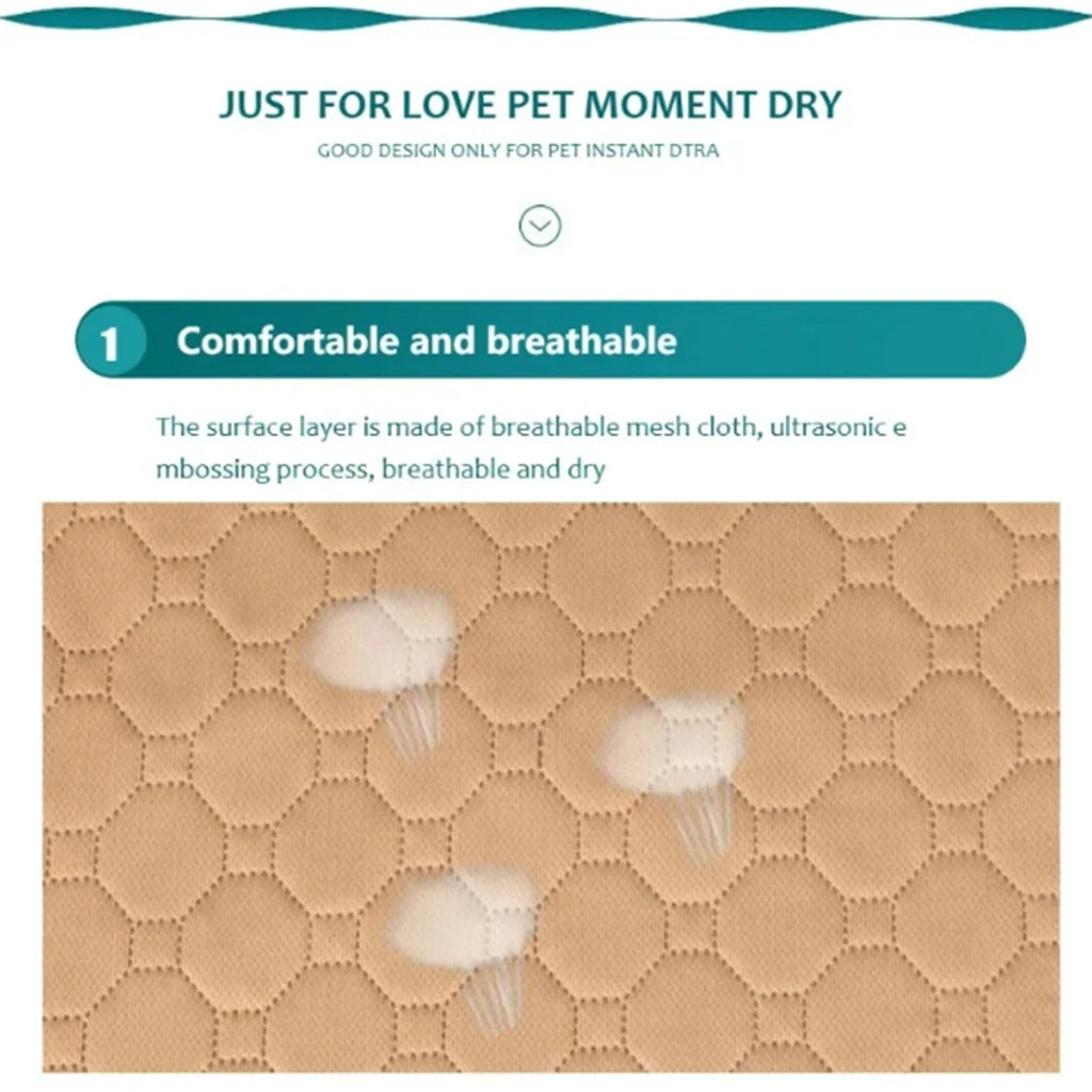 🧼 Moku CleanMat – Alfombrilla Higiénica Lavable para Perros | Más Limpieza y Comodidad Cada Día 🐶🧼