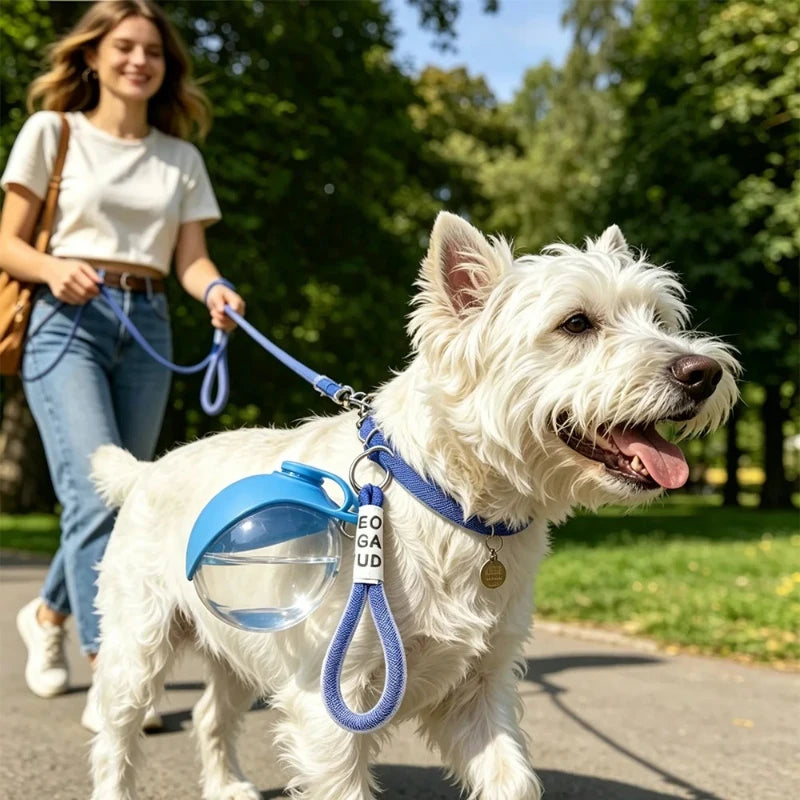 Moku HydroPaw – Botella de Agua Portátil para Perros | Bebedero Antiderrames para Paseos 🐶💧