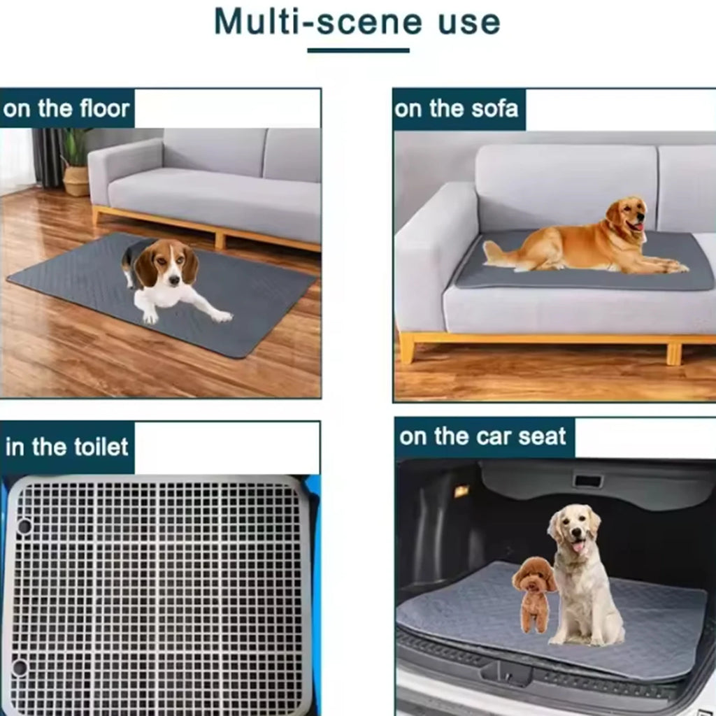 🧼 Moku CleanMat – Alfombrilla Higiénica Lavable para Perros | Más Limpieza y Comodidad Cada Día 🐶🧼