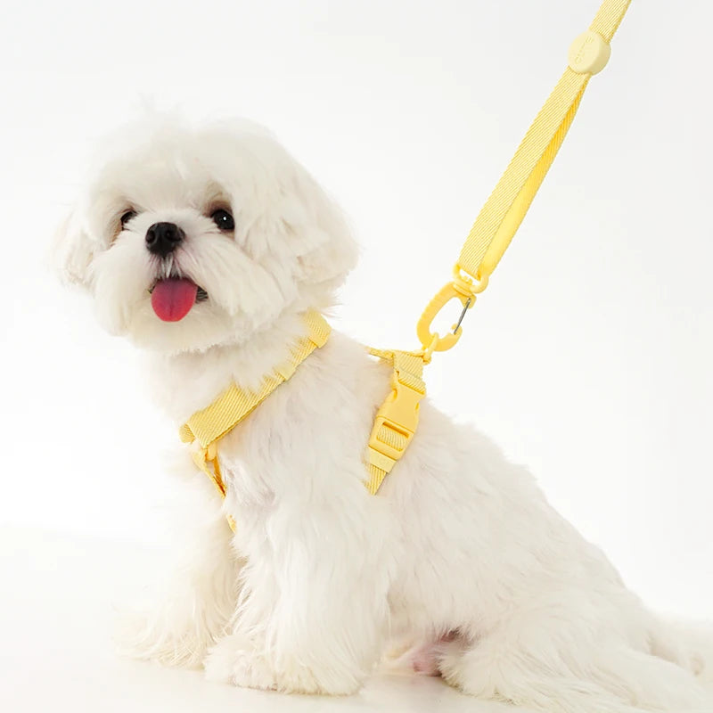 🐶 Moku WalkFit – Arnés Antitirones con Correa para Perros | Paseos Más Seguros y Cómodos 🐶🦮
