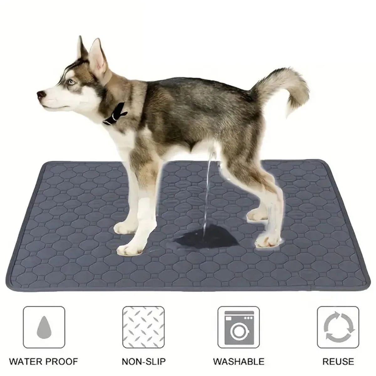 🧼 Moku CleanMat – Alfombrilla Higiénica Lavable para Perros | Más Limpieza y Comodidad Cada Día 🐶🧼