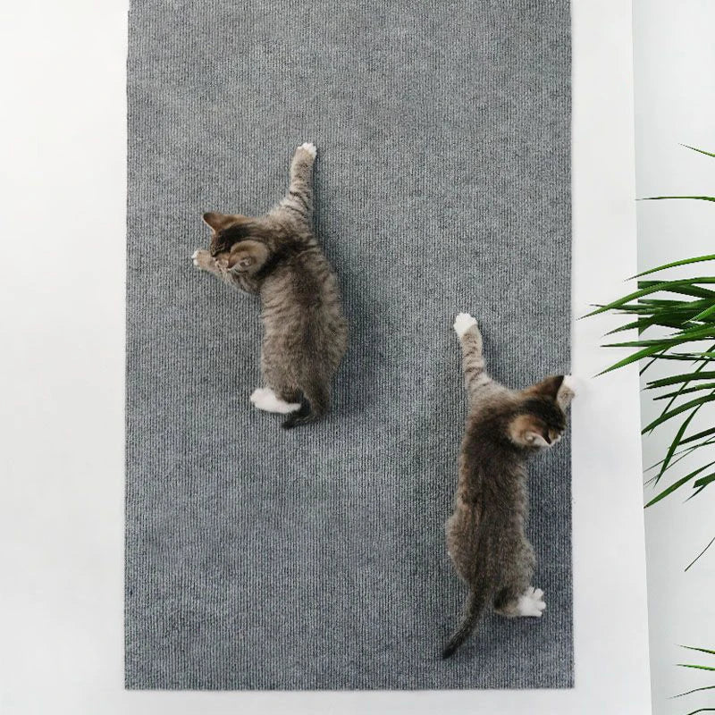 🐱 Moku Scratch – Protector Adhesivo Antirrasguños para Gatos | Protege tus Muebles y Paredes 🐱✨