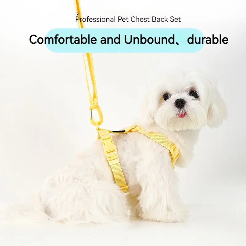 🐶 Moku WalkFit – Arnés Antitirones con Correa para Perros | Paseos Más Seguros y Cómodos 🐶🦮